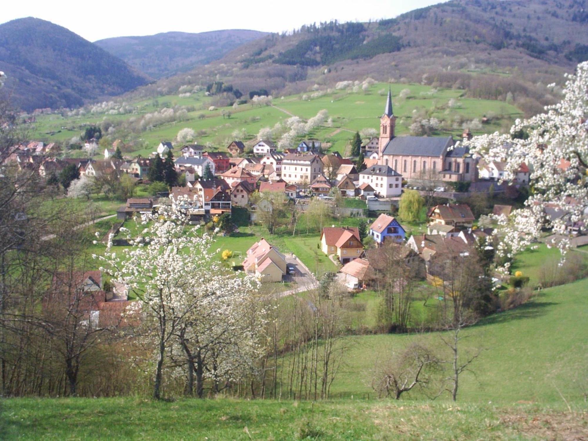 Gite Bellevue Breitenbach Экстерьер фото