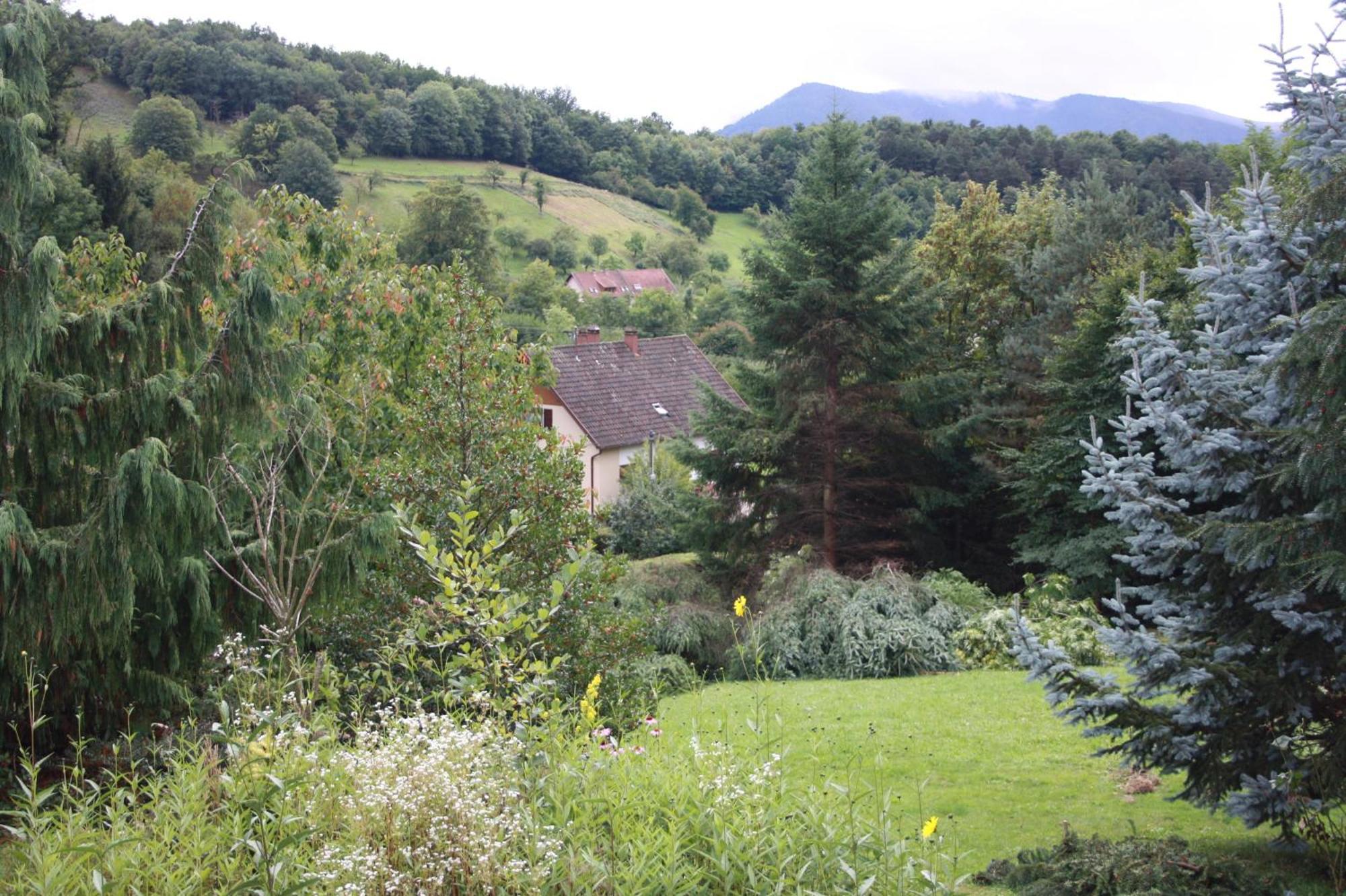 Gite Bellevue Breitenbach Экстерьер фото