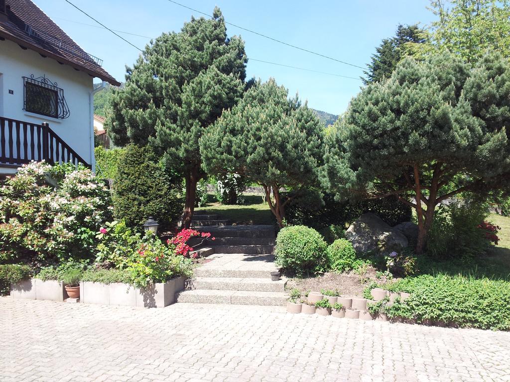 Gite Bellevue Breitenbach Экстерьер фото